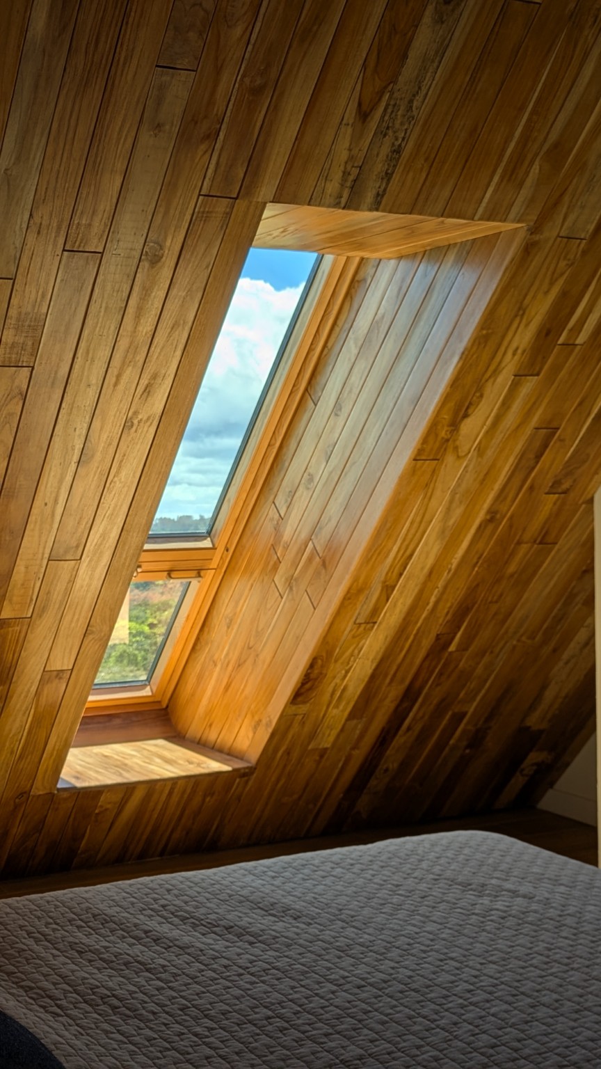 Revestimiento de madera en techo y paredes interiores